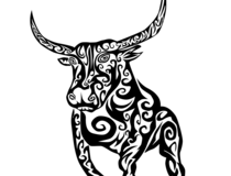 Agrandir l'image (fenêtre modale)
