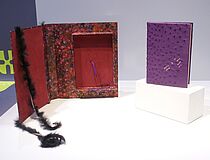 Agrandir l'image (fenêtre modale)