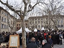 Agrandir l'image (fenêtre modale)