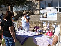 Agrandir l'image (fenêtre modale)