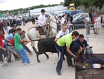 Agrandir l'image (fenêtre modale)