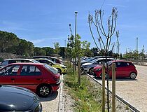 Agrandir l'image (fenêtre modale)