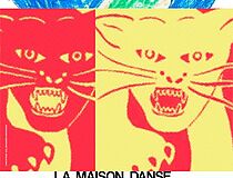 Agrandir l'image (fenêtre modale)