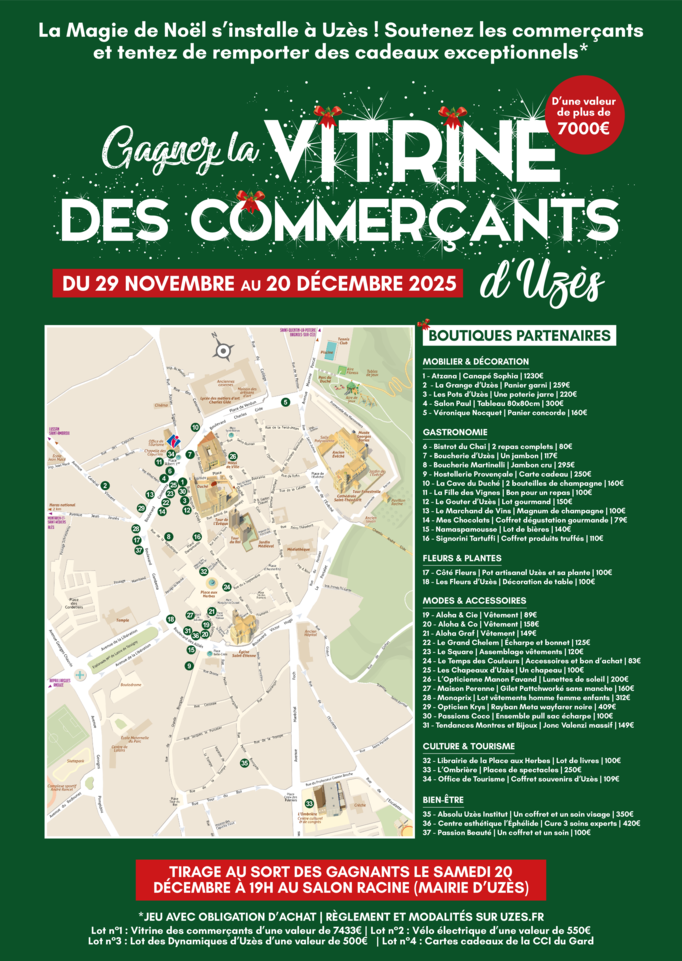 Agrandir l'image (fenêtre modale)