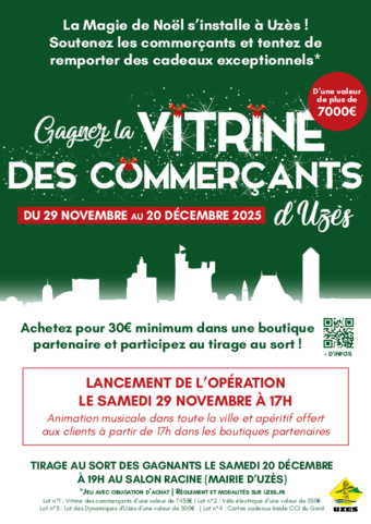 Agrandir l'image (fenêtre modale)