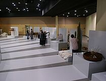 Agrandir l'image (fenêtre modale)