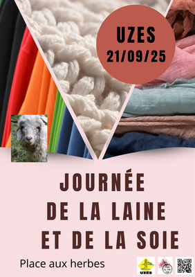 Agrandir l'image (fenêtre modale)