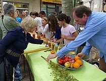 Agrandir l'image (fenêtre modale)