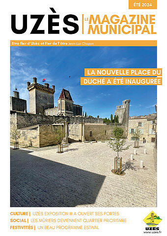 Agrandir l'image (fenêtre modale)