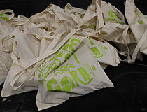 Agrandir l'image (fenêtre modale)