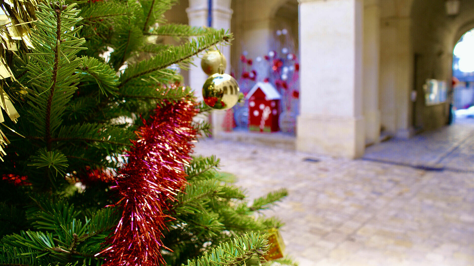 Habits de noel deals