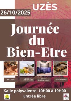 Agrandir l'image (fenêtre modale)