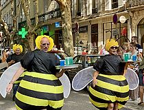 Agrandir l'image (fenêtre modale)