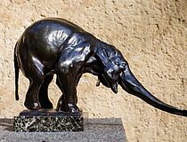 Agrandir l'image (fenêtre modale)