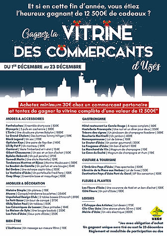 Agrandir l'image (fenêtre modale)