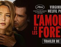 Agrandir l'image (fenêtre modale)