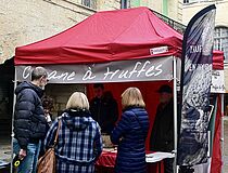 Agrandir l'image (fenêtre modale)