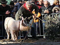 Agrandir l'image (fenêtre modale)