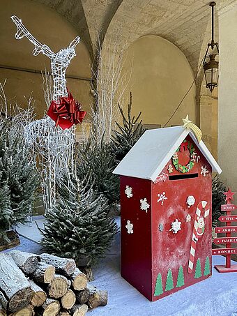 Agrandir l'image (fenêtre modale)