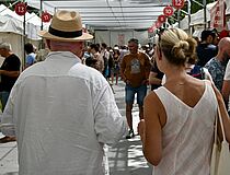 Agrandir l'image (fenêtre modale)