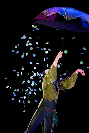 Agrandir l'image (fenêtre modale)