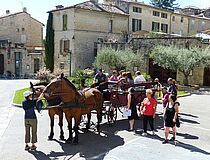 Agrandir l'image (fenêtre modale)