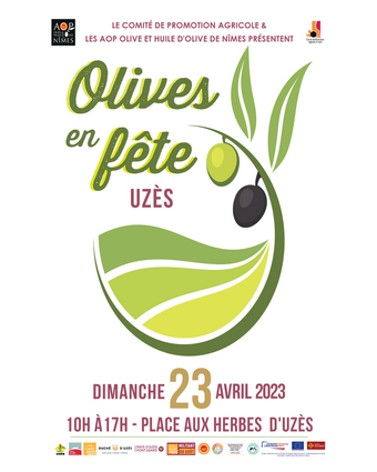 Agrandir l'image (fenêtre modale)