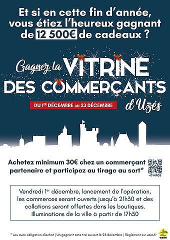 Agrandir l'image (fenêtre modale)