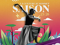 Agrandir l'image (fenêtre modale)