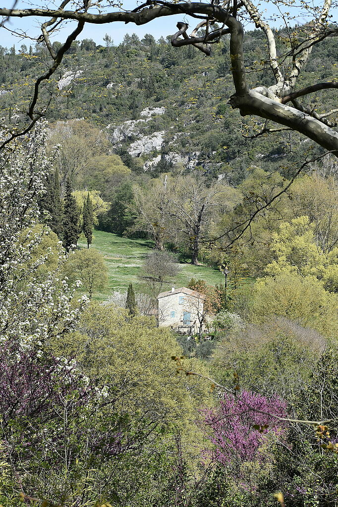 Légende ci-après